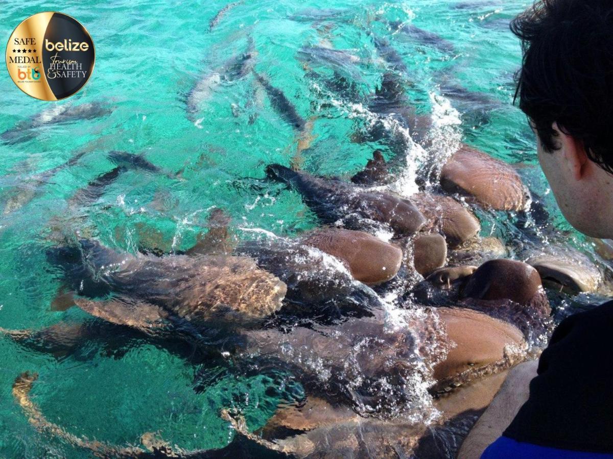 Portofino Beach Resort-An Authentic Island Escape! ซานเปโดร ภายนอก รูปภาพ