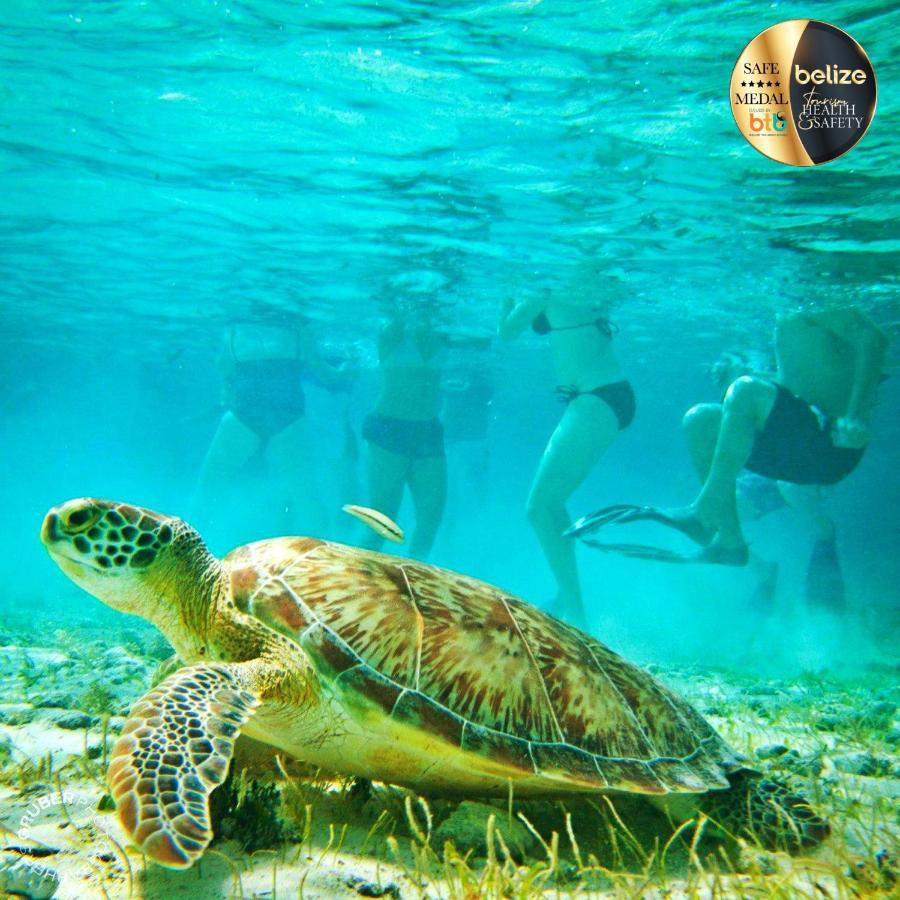Portofino Beach Resort-An Authentic Island Escape! ซานเปโดร ภายนอก รูปภาพ